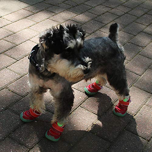 HCBDQQ Zapatos para Perros, Garras para Perros, OtoñO E Invierno, Zapatos CáLidos Y Antideslizantes para Mascotas, Adecuados para Perros Grandes S