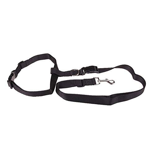 Hemore - Cinturón de Cintura Ajustable con 1 asa de Goma, Alta Visibilidad en la Cintura y Correa para Perro pequeño y Grande, Color Negro