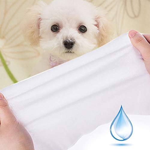 HERCHR 80 Unidades de Almohadillas antibacterianas para Limpieza de Oreja y Patas de Perro, Cachorro, Gato, toallitas de Aseo