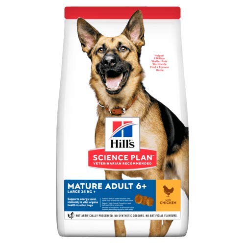 Hills Science Plan Canine Mature Adult 5+ Large Breed Pollo 14Kg 14000 g