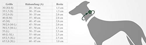 HUNTER - Collar de Nylon Modelo Neoprene Vario Plus para Perros (50/Verde/Azul Petróleo)