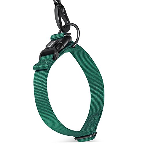Hyhug Premium Sturdy Classic Double-Ring Collar de Perro, fácil de Colocar y Quitar Hebilla Perros Grandes y Grandes de Razas Gigantes, Entrenamiento Profesional, Uso Diario. (Grande L, Verde Oscuro)