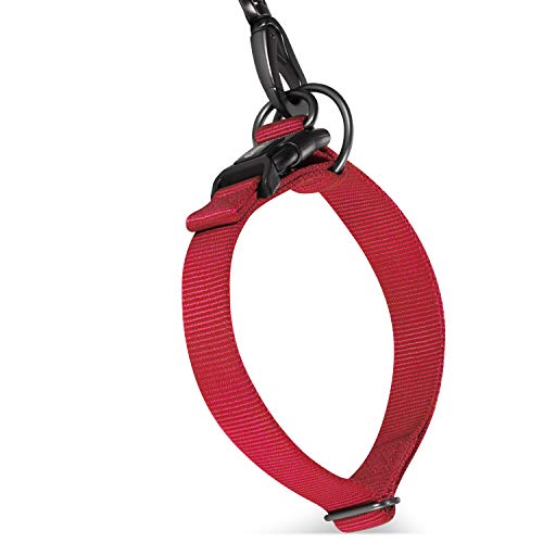 Hyhug Premium Sturdy Classic Double-Ring Collar de Perro, fácil de Colocar y Quitar Hebilla Perros Grandes y Grandes de Razas Gigantes, Entrenamiento Profesional, Uso Diario. (Grande L, Rojo)