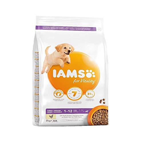 IAMS Alimentos AU Pollo para Cachorro Grande 3 kg – Pack de 3