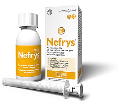 Innovet Nefrys para el bienestar de las altas vías urinarias en el perro y el gato - Frasco de 200 ml