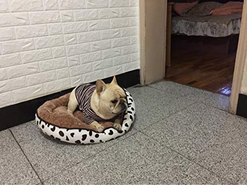 Jinjiang Pet Supplies - Cama para perro con diseño de donut de pelo vegano y manta calmante gris, cómoda cama para mascotas para alivio ortopédico, para dormir mejor, impermeable, parte inferior