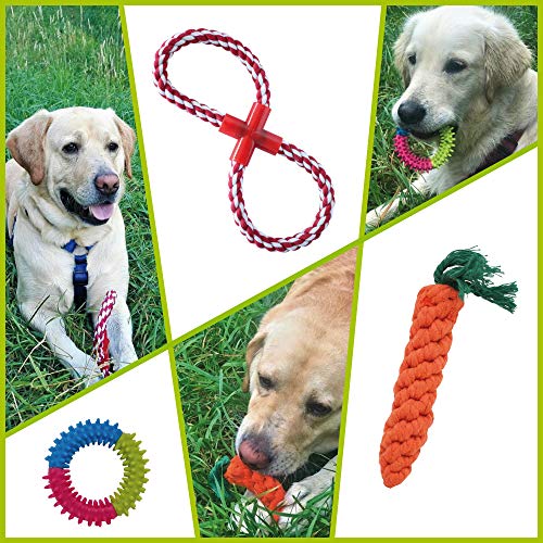 Juegos de perros, juego de 10 piezas + 1. Juguetes de cuerda para tamaños pequeños y medianos. Cuerdas de mascar resistentes. Cuerdas para perros en 100% algodón y duraderas