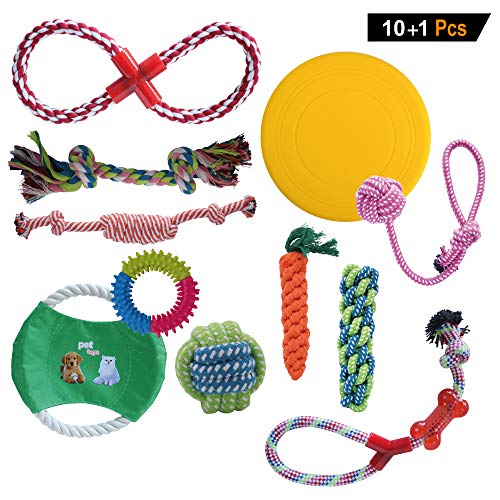 Juegos de perros, juego de 10 piezas + 1. Juguetes de cuerda para tamaños pequeños y medianos. Cuerdas de mascar resistentes. Cuerdas para perros en 100% algodón y duraderas