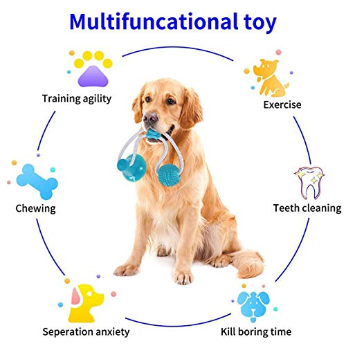 Juguete de succión Cayenne para perros, juguete para tirar, juguete para perros, juguetes multifunción, para perros, con ventosa resistente a masticar, juguete para perro para molar