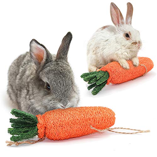 Juguetes Para Masticar Pequeños Animales Para Conejos Y Conejos, para conejos, gatos, cachorros, hámster Juego de 2 Juguetes de Limpieza para Conejos con Forma de Zanahoria