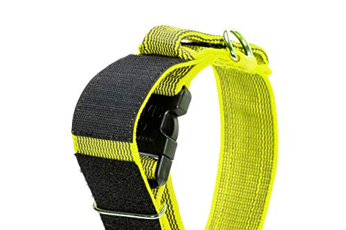Julius-K9 Collar Color & Gray con la manija, la Cerradura de Seguridad y el Remiendo Intercambiables, 40 mm (38-53 cm), Neón-Gris