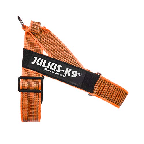 Julius-K9 Color & Gray Arnés De Correa De IDC, Tamaño: 0, Color: Naranja-Gris