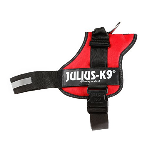 Julius-K9, Talla 3, 82-118 cm, Rojo