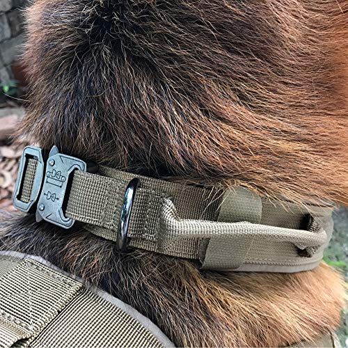 JW-online Collar de Perro Militar táctica Collares de Perro de Nylon Ajustable con la formación Collar de Perro Gato Mango Animales para Perros medianos Grande,marrón,M (37-45cm)