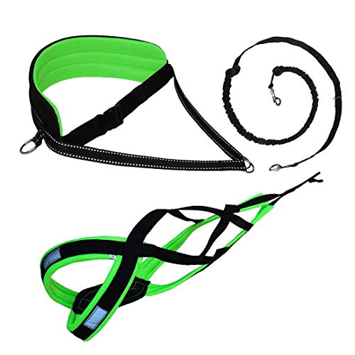 LasaLine CANI Cross de Juego, X de Back Tren Vajilla, jöring Cuerda, cinturón en Negro de Neon Verde