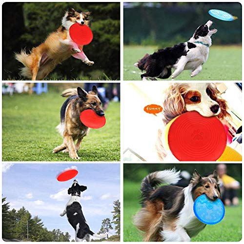 LILUN6 Frisbee de Entrenamiento Interactivo para Perros: Juguete Impermeable y Resistente a Las mordeduras, Ligero, Naranja, Adecuado para Perros pequeños. 9 Pulgadas de diámetro