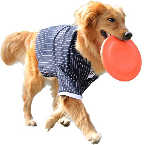LILUN6 Frisbee de Entrenamiento Interactivo para Perros: Juguete Impermeable y Resistente a Las mordeduras, Ligero, Naranja, Adecuado para Perros pequeños. 9 Pulgadas de diámetro