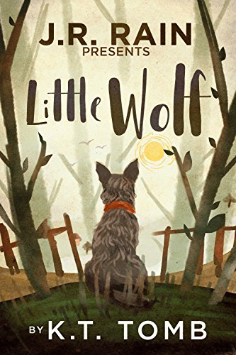 Little Wolf (English Edition)