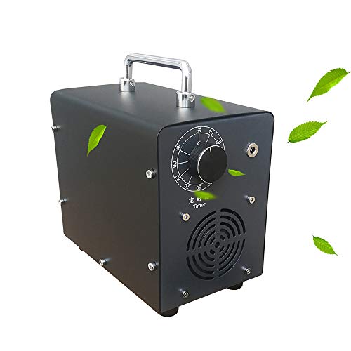 Lumemery Generador de ozono para Coche de 12 V Máquina de ozonizador para el hogar Purificador Aire Desodorizador Eliminador olores para Habitaciones Cocina