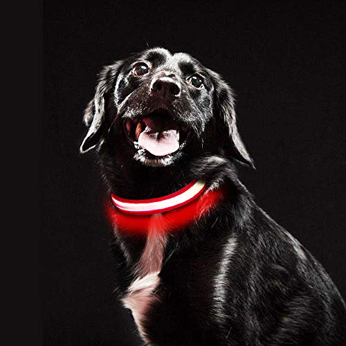MASBRILL Collar de Perro Recargable de Seguridad LED - Collar Seguro Intermitente para Mascotas - Impermeable