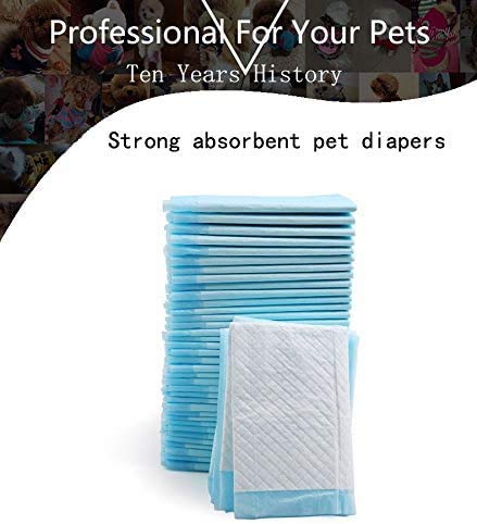 Mascota alfombra de entrenamiento de pañales for mascotas super absorbente del pañal del entrenamiento del perro mascota de orina de ratones pañales for mascotas Pantalones de salud del perro Packs tr