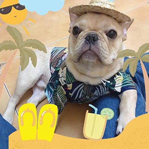 Meioro Ropa para mascotas Ropa para perros Cómoda camisa de perro Estilo hawaiano Estilo de vida costera Material de algodón Cachorro Bulldog francés Pug (Blue-M)
