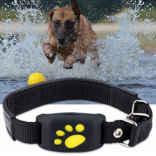 MMQQL Perro rastreador, Impermeable Collar del Animal doméstico del GPS Perros de los Gatos Perro GPS posicionador localizador Dispositivo de Vallas de Cable Recargable para Mascotas Seguridad Perro