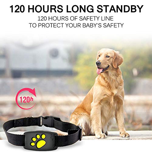 MMQQL Perro rastreador, Impermeable Collar del Animal doméstico del GPS Perros de los Gatos Perro GPS posicionador localizador Dispositivo de Vallas de Cable Recargable para Mascotas Seguridad Perro