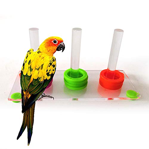 mnoMINI Juguete para Loros, Color Brillante, Anillo de pájaros para Entrenamiento de Inteligencia y Desarrollo de Mascotas, Suministros para Mascotas