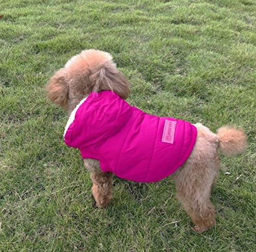 Morezi - Abrigos de perro para nieve, forro polar para mascotas, chaqueta de invierno con capucha para mascotas de tela cálida y suave para perro