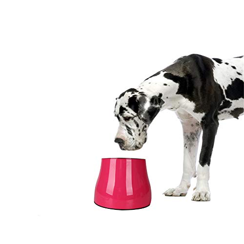 MYYXGS Diseño Exclusivo para realzar el tazón para Perros, el tazón Elevado contra derrames de alimentación Elevado para Perros elevados, el Cuello sin presión Antideslizante alimentador 16 * 8.5 cm