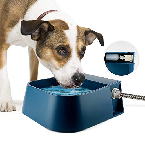 Namsan Flotador Bebedero para mascotas automático Bebedero para perros flotador con válvula de flotador para perros/gato/gallinas/patos/caballos/ovejas