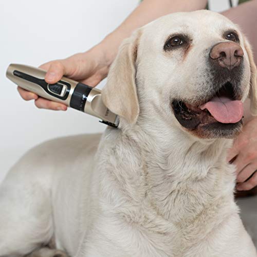 Navaris Máquina de Cortar Pelo para Perros y Gatos - Silencioso cortapelos Profesional para Mascotas - con Carga USB Tijeras 4 Cabezales y Limpiador