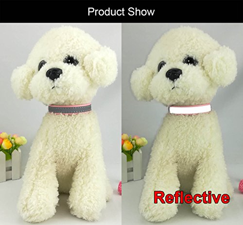 Newtensina Moda Collar de Perro reflexivo Collares de Cachorro para Perros Pequeños Perros medianos