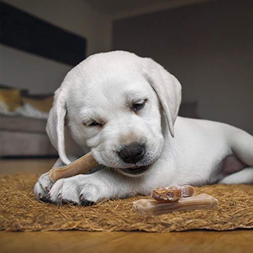 Nobleza - Hueso Prensado para Perros Fortalecedor de Dientes Stick Dental Dog Snack, Hueso de Nudillos de Cuero Crudo, Hueso para morder, 4 Inches(10cm) 12pcs