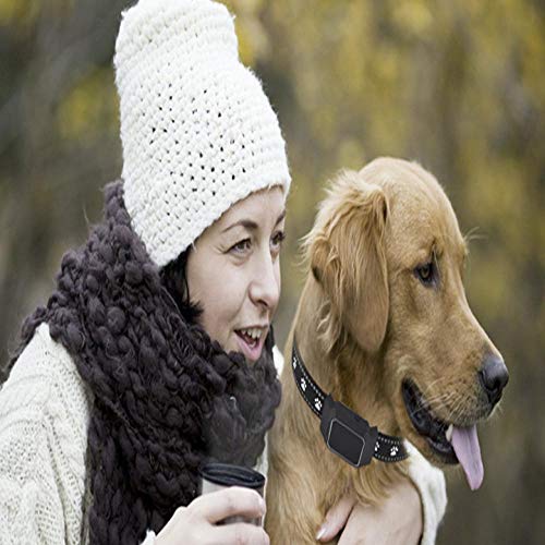 nobrand Localizador De Mascotas GPS Rastreador De Perros Gato Collar Protector De Lanzamiento Profundidad Impermeable Rastreador De Perros Azul