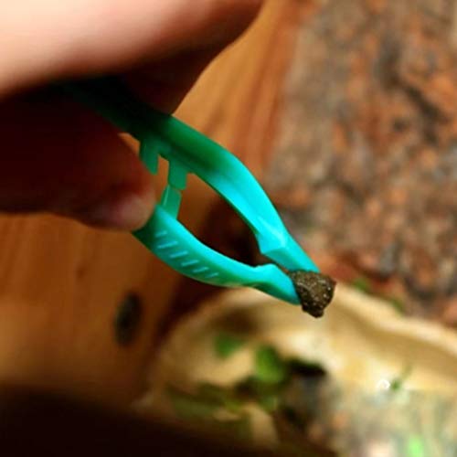 NUOBESTY 20pcs Reptil Pinzas de alimentación Pinza de plástico Pinzas alimentador Clip para terrario (Verde)