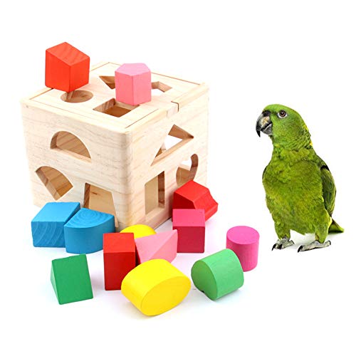 Oce180anYLV Funny Pets Bird Parrot Madera 13 Agujeros Bloques de construcción Caja de Inteligencia Puzzle Toy