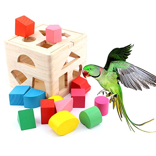 Oce180anYLV Funny Pets Bird Parrot Madera 13 Agujeros Bloques de construcción Caja de Inteligencia Puzzle Toy