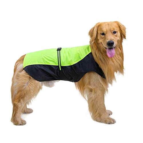 Otoño e invierno nuevo de la manera Chaqueta caliente for mascotas ropa for perros ropa chaqueta Golden retriever perros esquimales Ropa divertida linda para mascotas ( Color : Green , Size : 8XL )