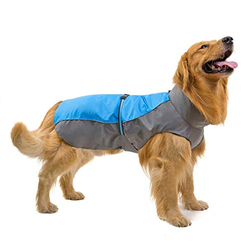 Otoño e invierno nuevo de la manera Chaqueta caliente for mascotas ropa for perros ropa chaqueta Golden retriever perros esquimales Ropa divertida linda para mascotas ( Color : Green , Size : 8XL )