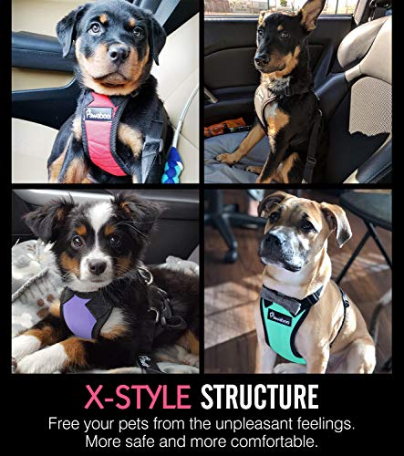 Pawaboo Cinturón De Seguridad de Perro - Adjustable Vest/Harness Car Safety Adecuado para Perros de 11 LBS - 33 LBS, Talla M, Azul