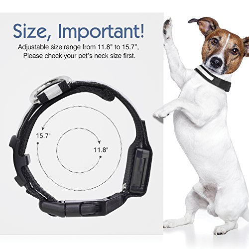 Pawaboo LED Collarín de Perro - Adjustable Brillante Dog Safety Collar de 11.8-15 Pulgadascon Pom Rápido Hebilla para Paseos Nocturnos, Mejorar la Visibilidad y la Seguridad del Perro, Verde