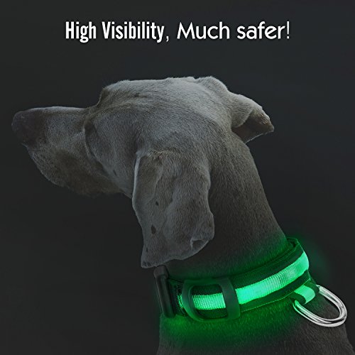 Pawaboo LED Collarín de Perro - Adjustable Brillante Dog Safety Collar de 11.8-15 Pulgadascon Pom Rápido Hebilla para Paseos Nocturnos, Mejorar la Visibilidad y la Seguridad del Perro, Verde
