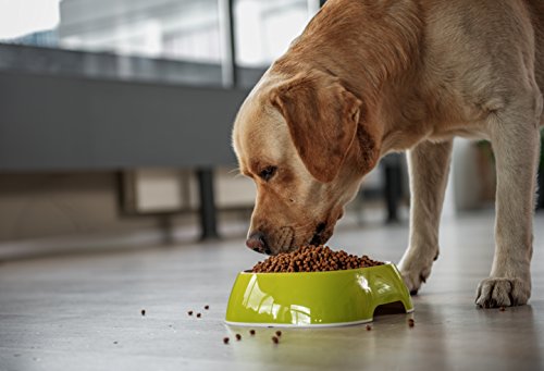 Pets Diet Mascotas Dieta hipoalergénica Sensible Adulto Comida Seca para Perro, Cordero y arroz