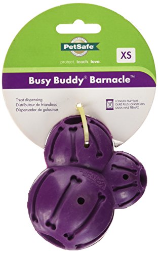PetSafe - Busy Buddy Barnacle - Juguete Interactivo dispensador de golosinas.