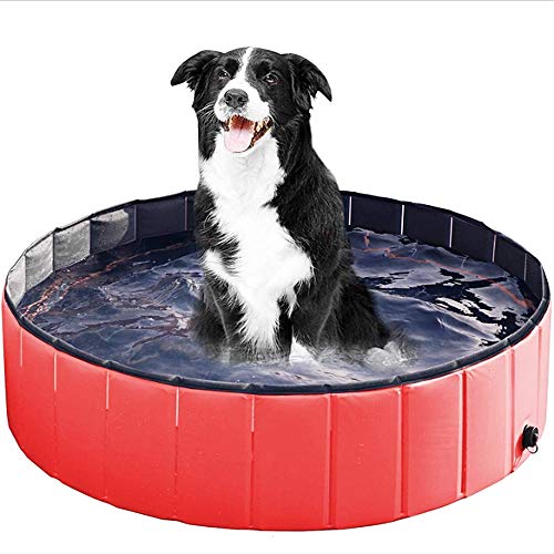 Piscina plegable portátil para mascotas YZH para gatos y perros, para interior y exterior, para baño de mascotas