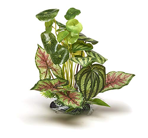Pistachio Pet – Hermosa Planta Realista de Acuario con Base 25 cm de Alto