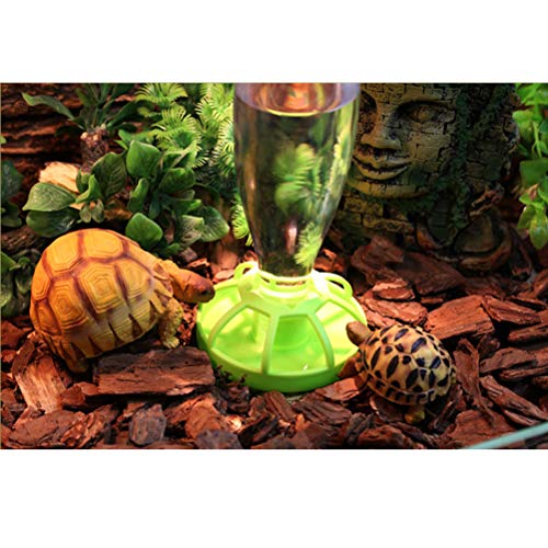 POPETPOP Alimentador automático de bebederos para Reptiles Alimentador de Agua para Alimentos Fuente para Tortuga cornuda Reptil (Verde)
