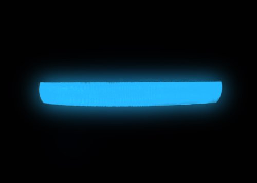 PRECORN Collar para perros luminoso"Zandoo" Collar LED en el color azul. Tamaño S (35-40 cm)